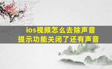 ios视频怎么去除声音提示功能关闭了还有声音