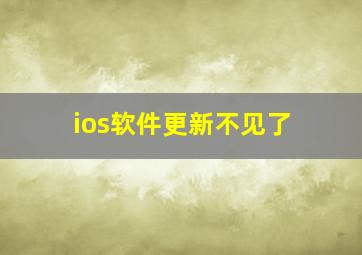 ios软件更新不见了