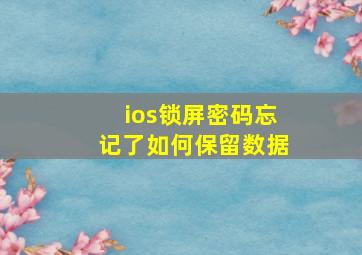 ios锁屏密码忘记了如何保留数据