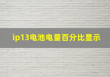 ip13电池电量百分比显示