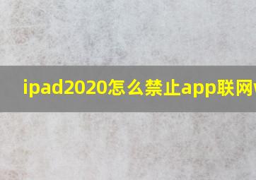 ipad2020怎么禁止app联网wifi