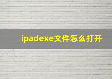 ipadexe文件怎么打开