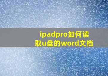 ipadpro如何读取u盘的word文档