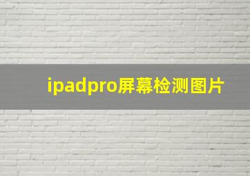 ipadpro屏幕检测图片