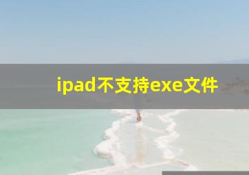 ipad不支持exe文件