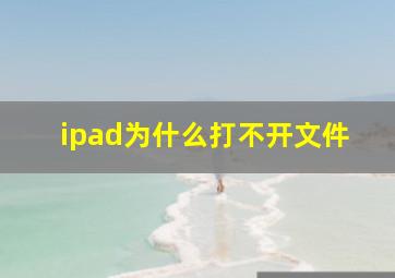 ipad为什么打不开文件