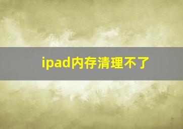 ipad内存清理不了