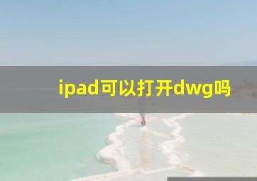 ipad可以打开dwg吗