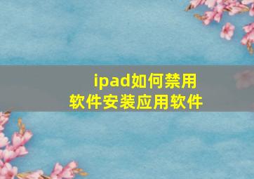 ipad如何禁用软件安装应用软件