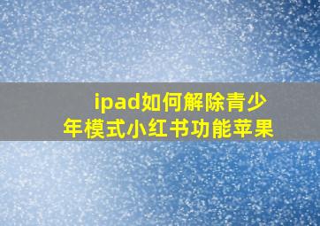 ipad如何解除青少年模式小红书功能苹果