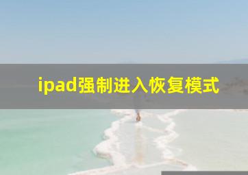 ipad强制进入恢复模式