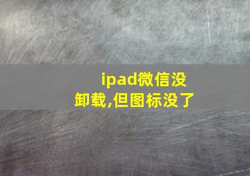 ipad微信没卸载,但图标没了