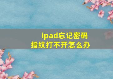 ipad忘记密码指纹打不开怎么办