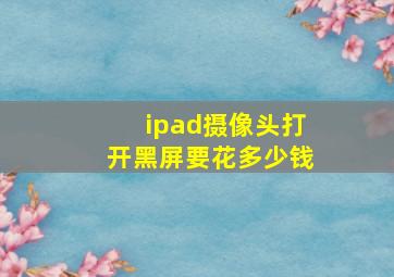 ipad摄像头打开黑屏要花多少钱