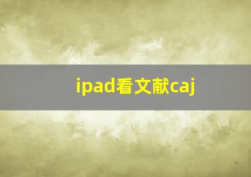 ipad看文献caj