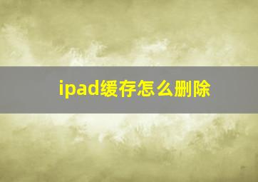 ipad缓存怎么删除