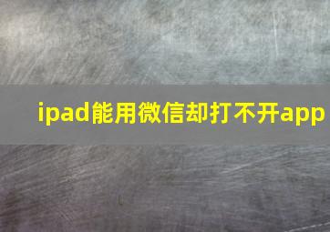 ipad能用微信却打不开app