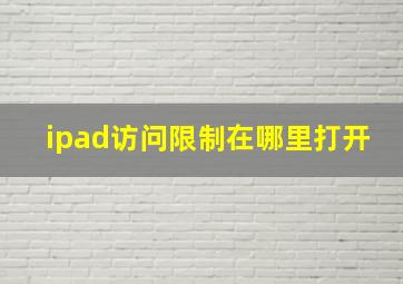 ipad访问限制在哪里打开