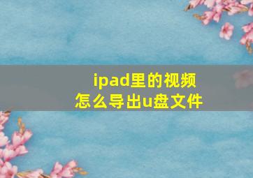 ipad里的视频怎么导出u盘文件