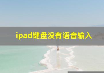 ipad键盘没有语音输入