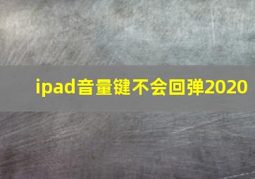 ipad音量键不会回弹2020