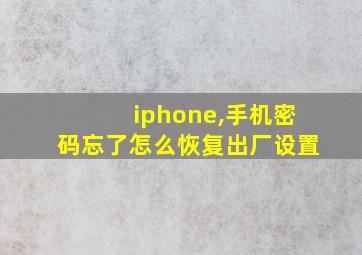 iphone,手机密码忘了怎么恢复出厂设置