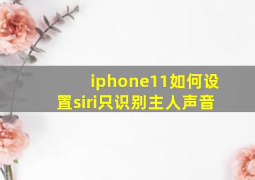 iphone11如何设置siri只识别主人声音