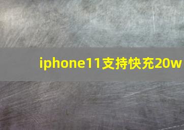 iphone11支持快充20w