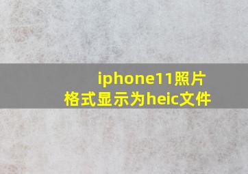 iphone11照片格式显示为heic文件