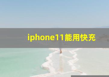 iphone11能用快充