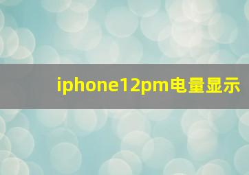 iphone12pm电量显示