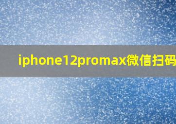 iphone12promax微信扫码不行