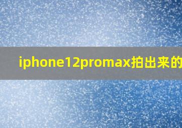 iphone12promax拍出来的照片