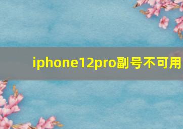 iphone12pro副号不可用