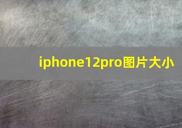 iphone12pro图片大小