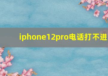 iphone12pro电话打不进