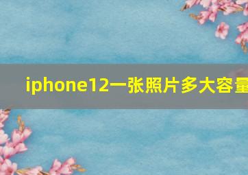 iphone12一张照片多大容量