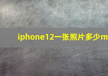 iphone12一张照片多少m