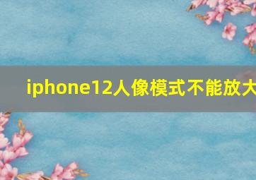 iphone12人像模式不能放大