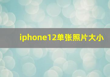 iphone12单张照片大小