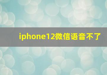 iphone12微信语音不了