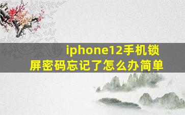 iphone12手机锁屏密码忘记了怎么办简单