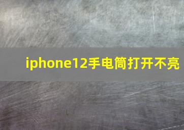 iphone12手电筒打开不亮