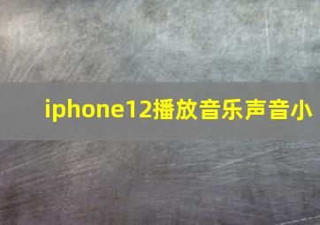 iphone12播放音乐声音小