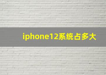 iphone12系统占多大