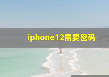 iphone12需要密码