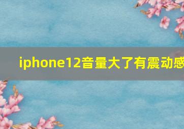 iphone12音量大了有震动感