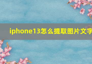 iphone13怎么提取图片文字