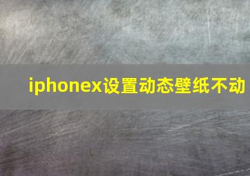 iphonex设置动态壁纸不动