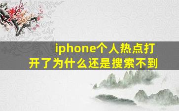 iphone个人热点打开了为什么还是搜索不到